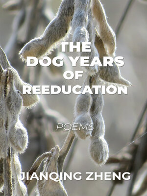 cover image of The Dog Years of Reeducation